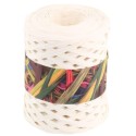 RAPHIA SYNTHETIQUE - BLANC (x200m)