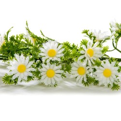 GUIRLANDE MARGUERITES - Lg 2.70 mètres