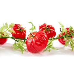 GUIRLANDE TOMATE - Lg 2 mètres