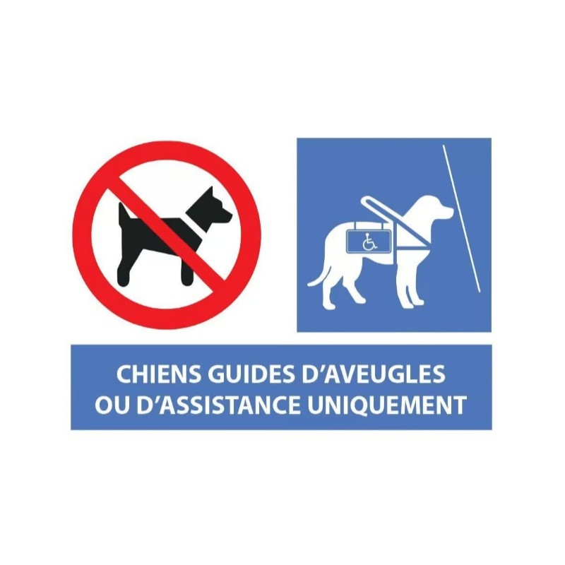 PANCARTE 300x200 mm "Chien interdit sauf chien guide ou d'assistance"