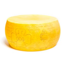 FACTICE MEULE GRANA PADANO - Ø 440  x ht 210 mm