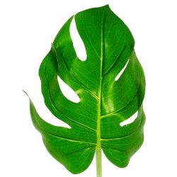 FACTICE FEUILLE DE PHILODENDRON Ø 20 ht 56 cm (l'unité)