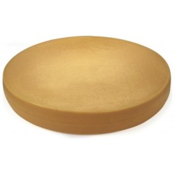 FACTICE DE FROMAGE - GRUYERE (Ø630xht90mm)