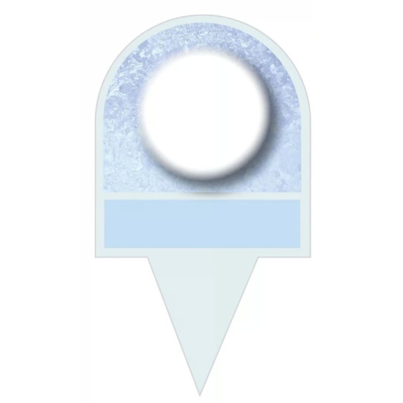 PIQUE-GLACES 60x105 mm neutres (lot de 10)