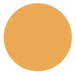 ETIQUETTE PAPIER ADHESIVE NEUTRE DIAMETRE 35 mm - fluo orange (lot de