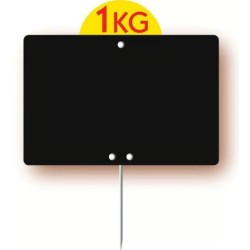 ARDOISE NEUTRE NOIRE 150X100 mm - disque poids en ht, pique inox (lot