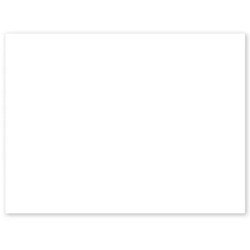 PANCARTE 200x150 mm – blanche, fil nylon (lot de 10)