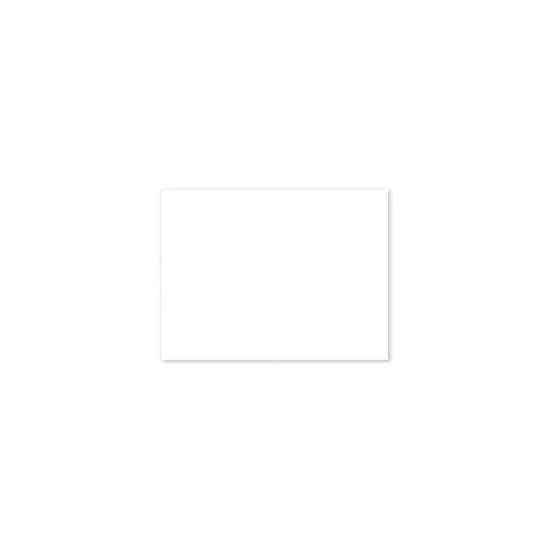 PANCARTE 300x200 mm – blanche, fil nylon (lot de 10)