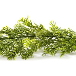 GUIRLANDE FOUGERES EXOTIQUES - Lg 2.70 mètres