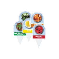 PIQUE GLACE 22 PARFUMS ASSORTIS + 3 NEUTRES - 60x105 mm