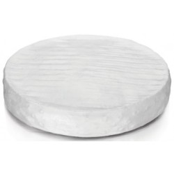 FACTICE DE FROMAGE - CAMBOZOLA (Ø240xht40mm)