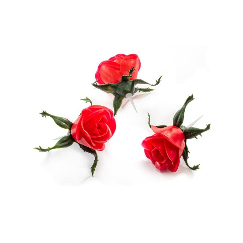 ROSE A PIQUER (PAQUET DE 25)