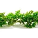 GUIRLANDE DE PERSIL - Lg 2.70 mètres