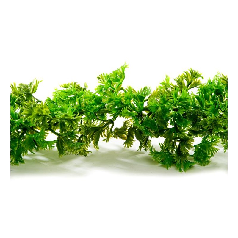 GUIRLANDE DE PERSIL - Lg 2.70 mètres
