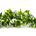 GUIRLANDE DE LIERRE VERT TOUFFU - Lg 2.70 mètres