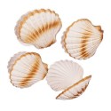 FACTICE COQUILLE SAINT JACQUES (lot de 4)