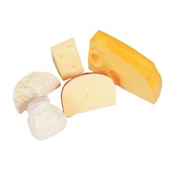 FACTICE ASSORTIMENT DIVERS FROMAGES (lot de 5)