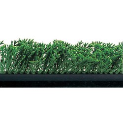 SEPARATEUR VITRINE AVEC CYPRES