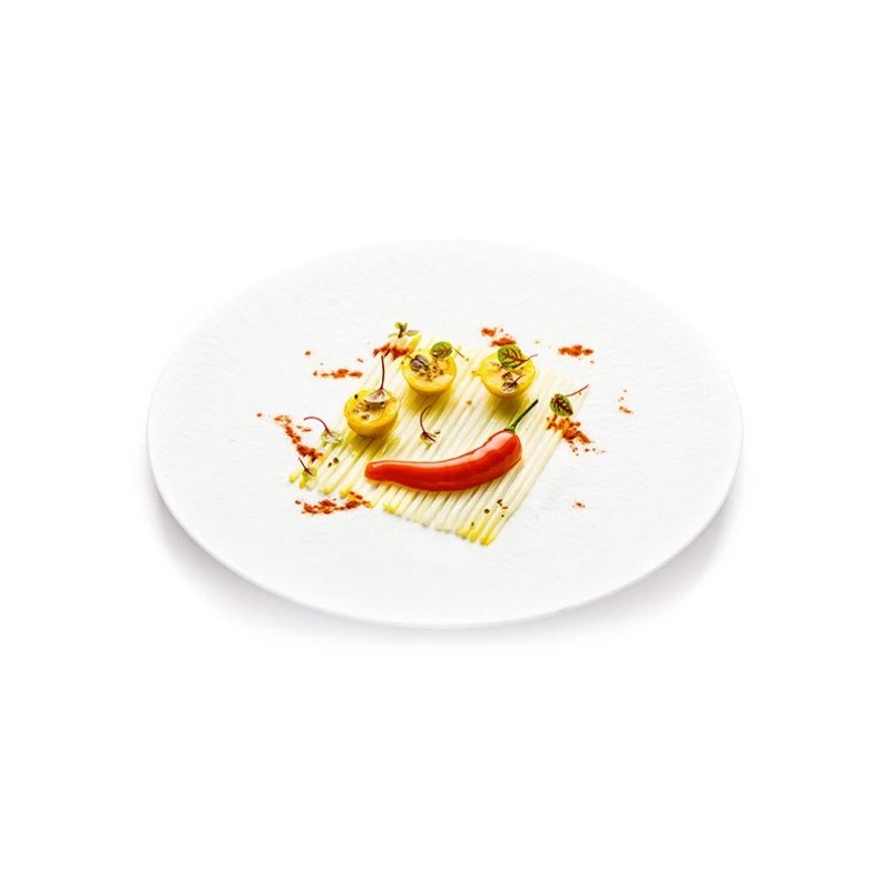 PLAQUE SILICONE 300X175 - 12 piments 91x31xht16 mm - 13ml