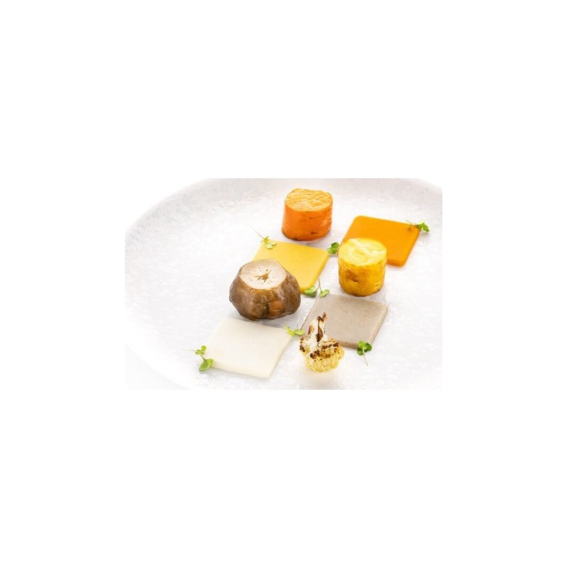 PLAQUE SILICONE 470X270 - 8 séries de carrés 48.5x48.5xht5.5 mm - 12m