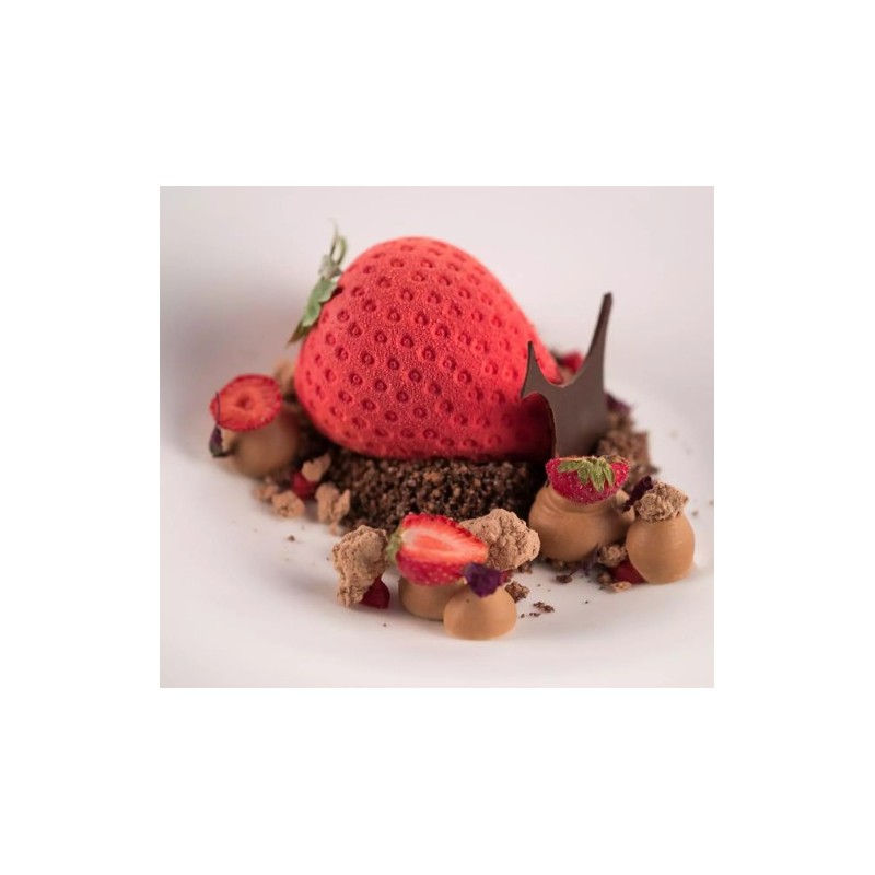 PLAQUE SILICONE 300X175 - 15 mini fraises 48x34xht33 mm - 30ml