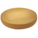 FACTICE DE FROMAGE - GRUYERE (Ø630xht90mm)