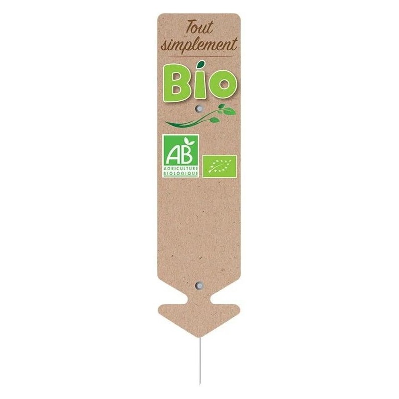 FLECHE "tout simplement bio" - 6x22 cm (lot de 10)