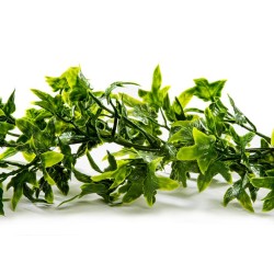 GUIRLANDE DE LIERRE VERT TOUFFU - Lg 2.70 mètres