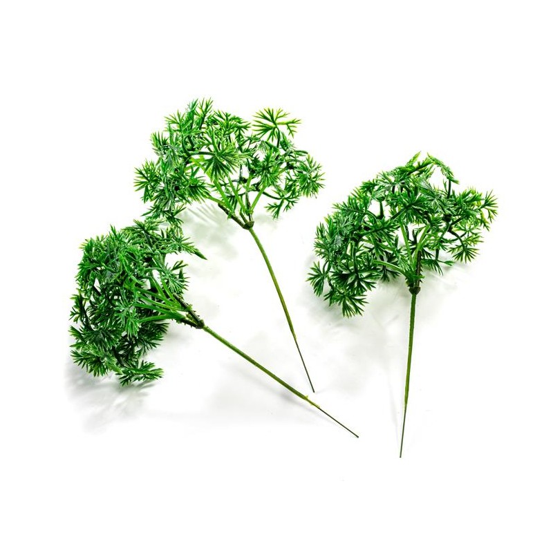 BOUQUET DE 6 BRANCHES DE PERSIL