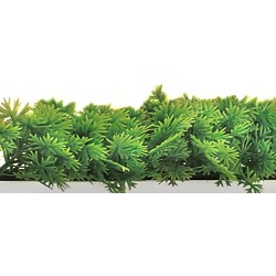 RECHARGE POUR SEPARATEUR VITRINE LG 250 MM