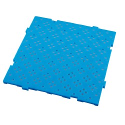 CAILLEBOTIS 500X500X20