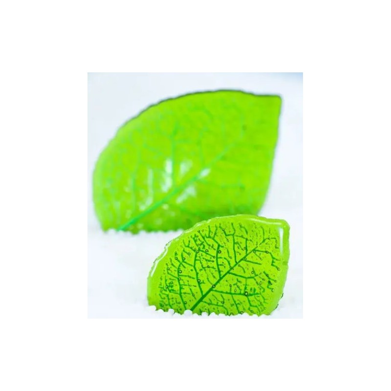 KIT MOULE SILICONE - Feuille hêtre 118x87 mm