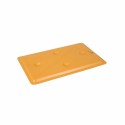 PLAQUE EUTECTIQUE GN1/1 FROIDE (-3°) ORANGE RIEBER
