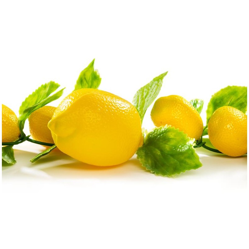 GUIRLANDE DE CITRONS - Lg 1.80 mètres