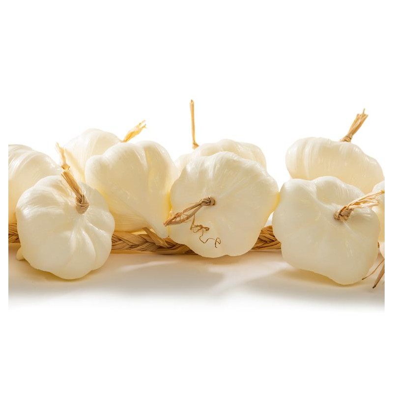 GRAPPE D'AIL - lg 500 mm