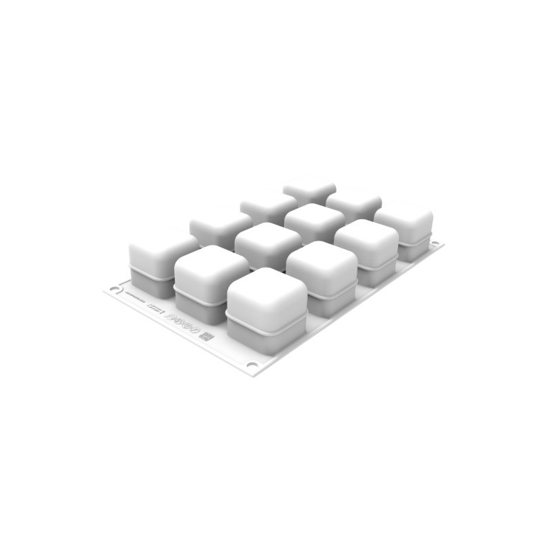 PLAQUE SILICONE 300X175 - 12 cubes 45x45xht45 mm - 85ml